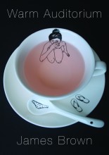 warmauditorium300dpi__87807.1351542581.220.220