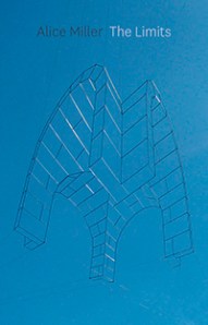 THE LIMITS_CONCEPTS_01