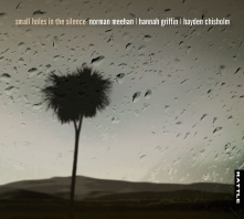 Small_Holes_in_t_55beb4afb57d4_222x198