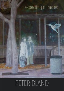 Expecting-Miracles-cover-web