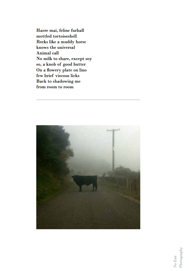 Screen Shot 2017-09-15 at 8.03.49 PM.png