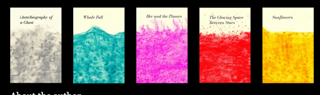 Screen Shot 2017-09-30 at 12.56.14 PM.png