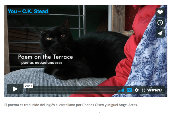 Screen Shot 2017-11-13 at 8.32.23 AM.png