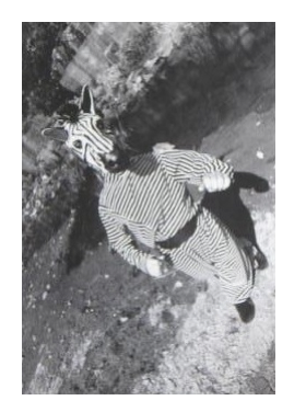 Screen Shot 2019-04-17 at 7.43.56 AM.png