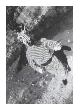 Screen Shot 2019-04-17 at 7.43.56 AM.png