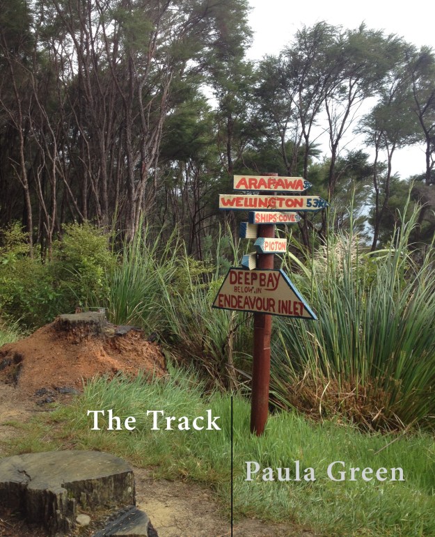 The Track cover front.jpg