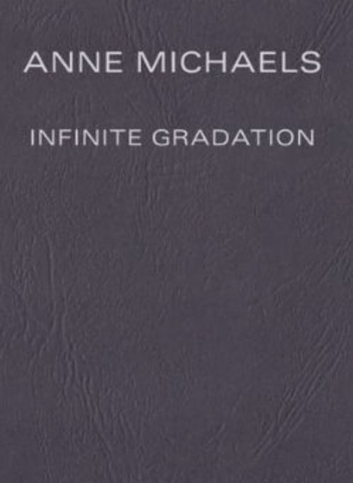 Screen Shot 2019-08-30 at 8.48.45 AM.png