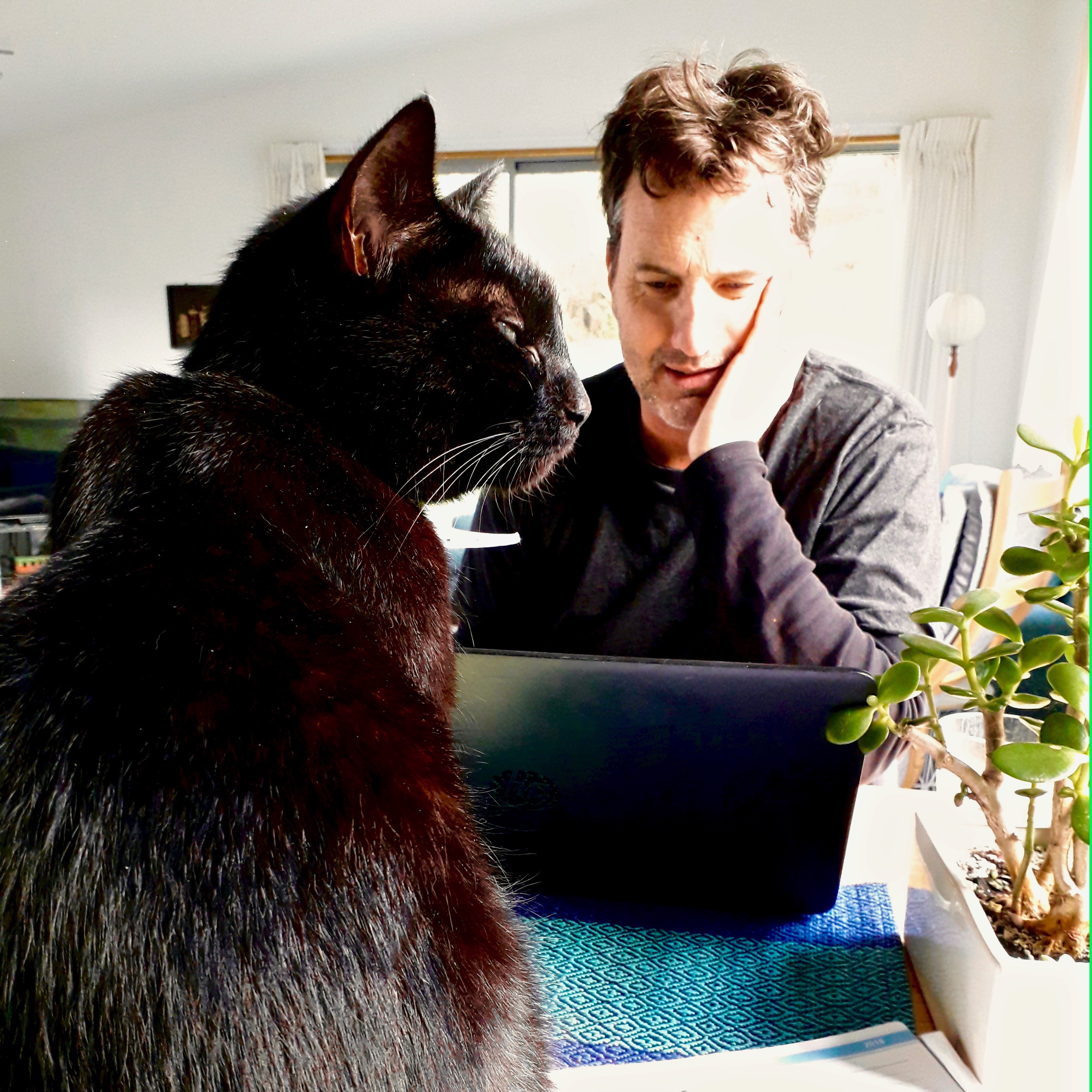 Philip Armstrong.jpeg