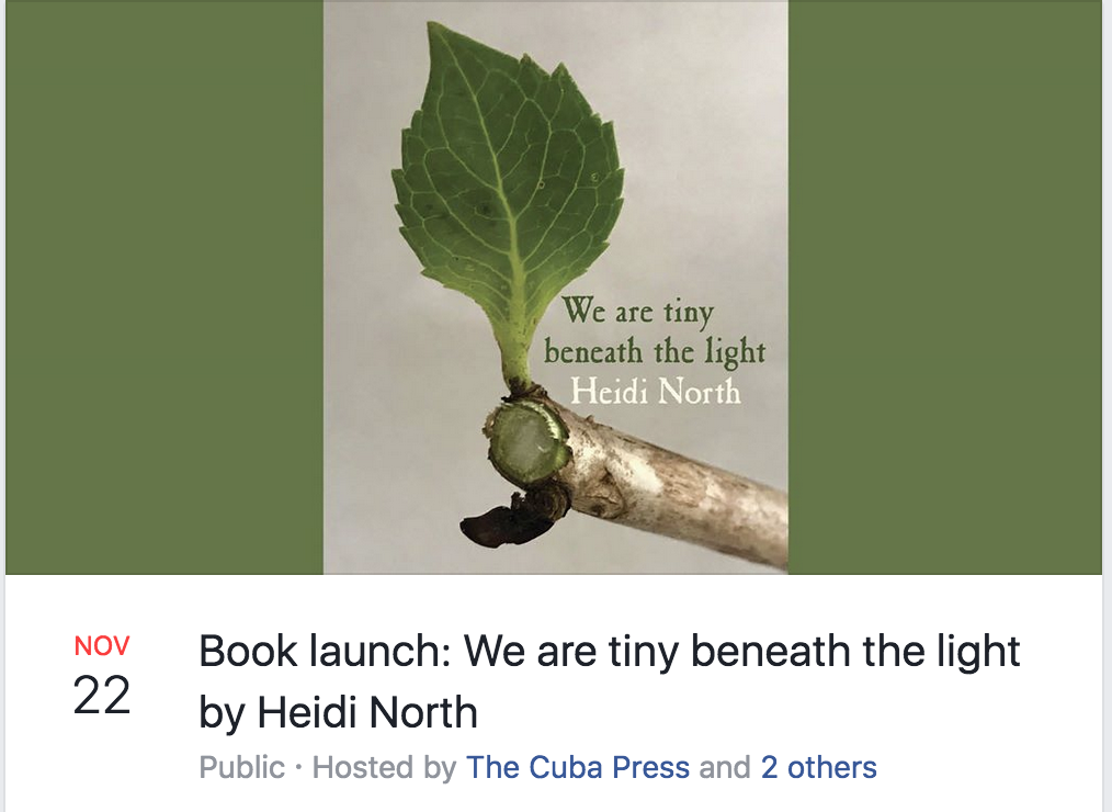 Screen Shot 2019-11-10 at 10.24.03 AM.png