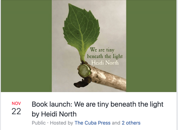 Screen Shot 2019-11-10 at 10.24.03 AM.png