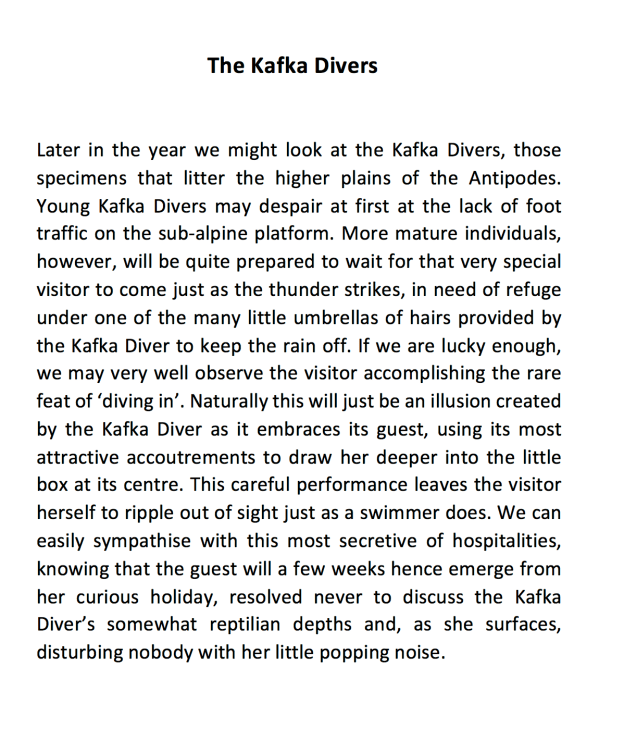 Screen Shot 2019-11-27 at 9.02.01 AM.png