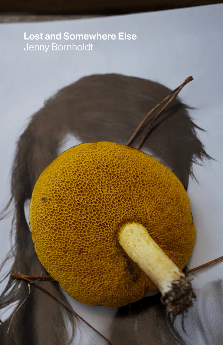 Screen Shot 2019-12-02 at 9.40.46 AM.png