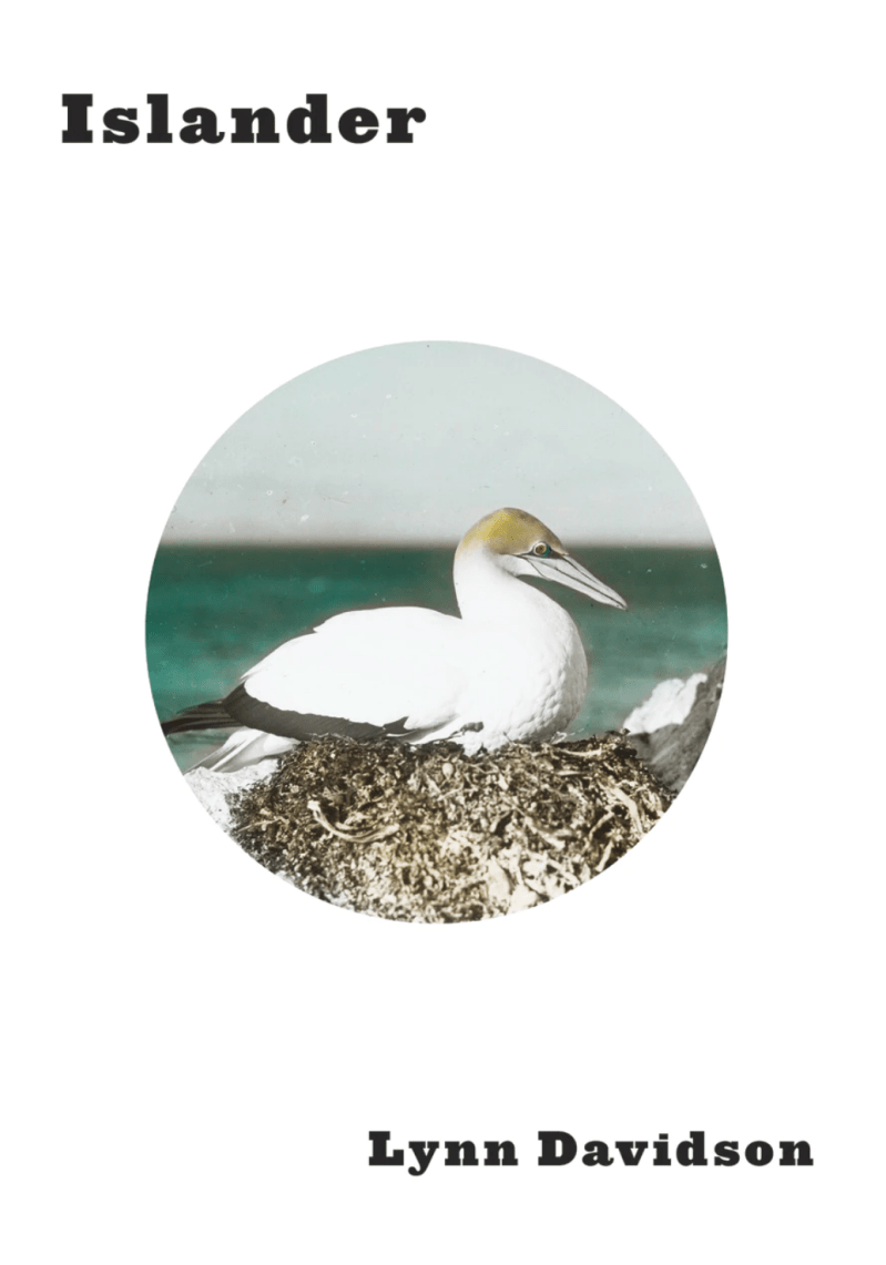 Screen Shot 2019-12-11 at 1.06.47 PM.png