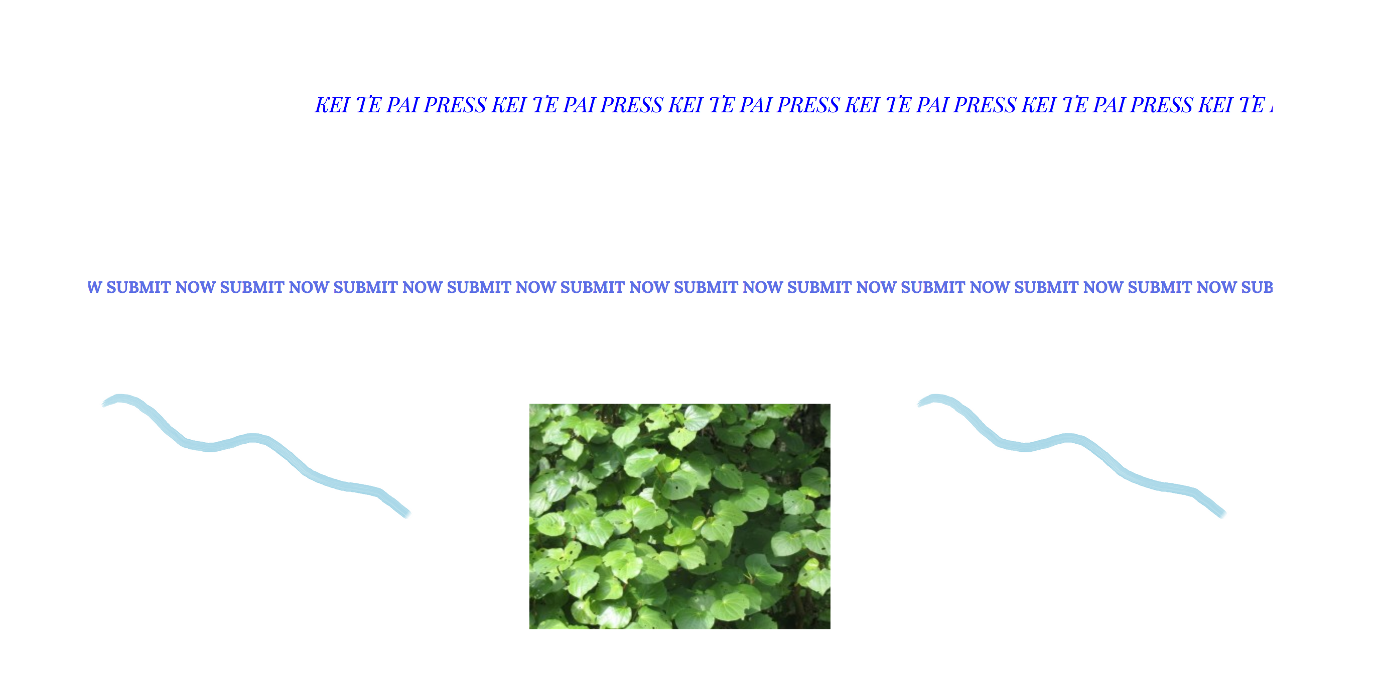 Screen Shot 2020-03-04 at 10.40.05 AM.png