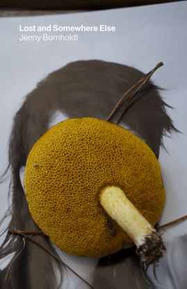 Screen Shot 2020-05-29 at 9.41.59 AM