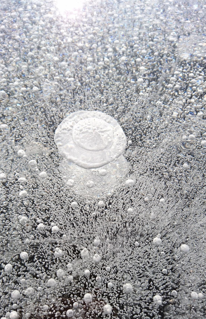 Screen Shot 2020-06-03 at 10.55.15 AM