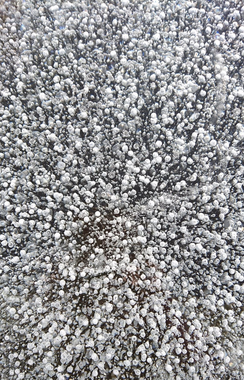 Screen Shot 2020-06-03 at 10.56.15 AM