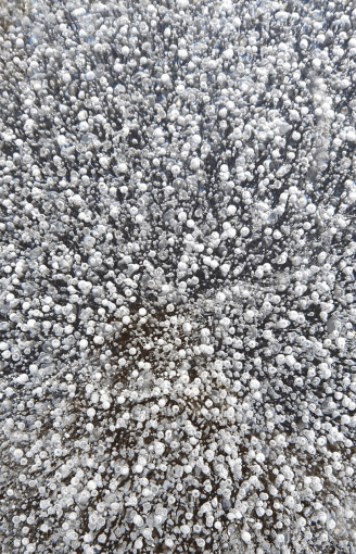 Screen Shot 2020-06-03 at 10.56.15 AM