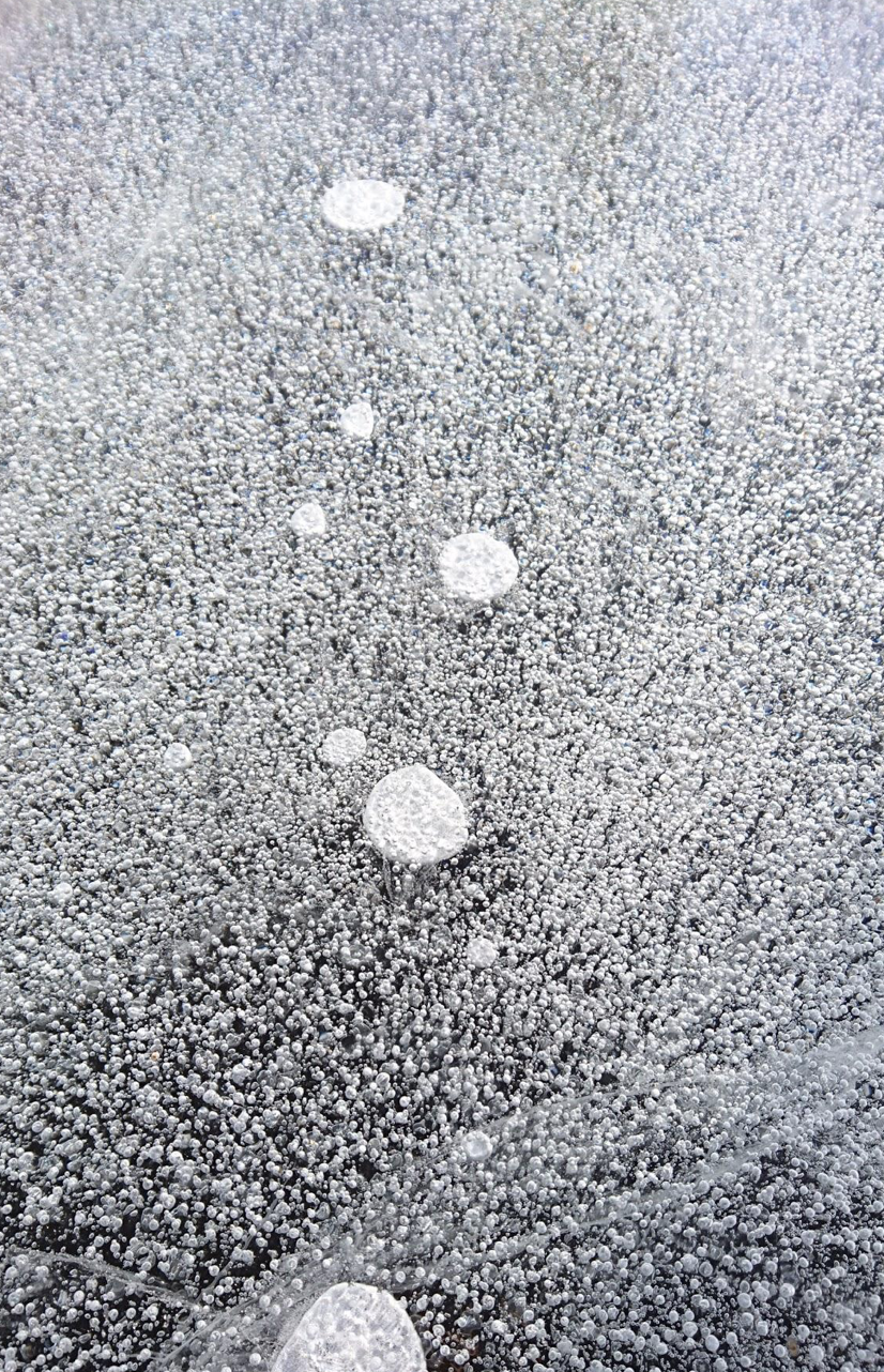 Screen Shot 2020-06-03 at 10.56.25 AM