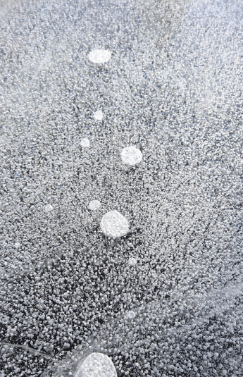 Screen Shot 2020-06-03 at 10.56.25 AM